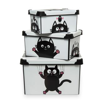 Qutu Style 3'lü Box Meow Kutu