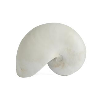 Q-Art Deniz Kabuğu - Asorti - 20,5 cm