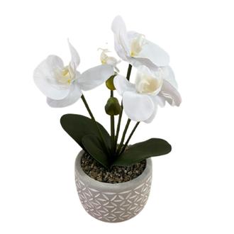 Objevi Soft Orkide - Beyaz