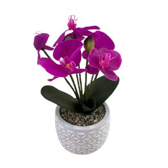 Objevi Soft Orkide - Mor