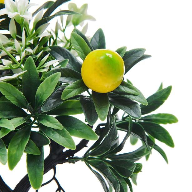 Mondecor Mermer Saksıda Limon Ağacı - Asorti